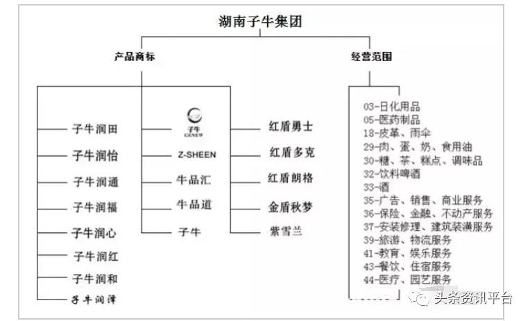 湖南子牛集團(tuán)更名子康生活，沉寂兩年后攜新定位“重出江湖”